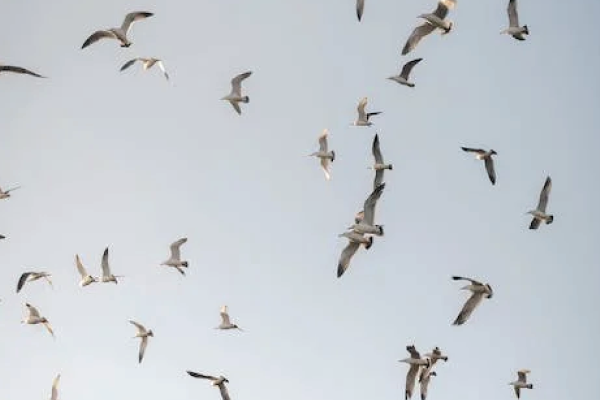 Blog Preview Image